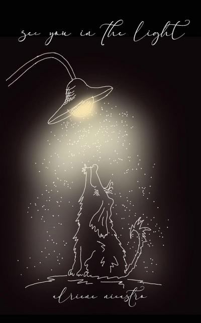 see you in the light