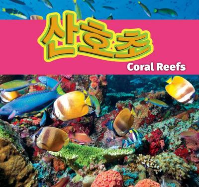 산호초/Coral Reefs (Korean)