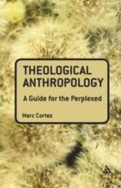 Theological Anthropology
