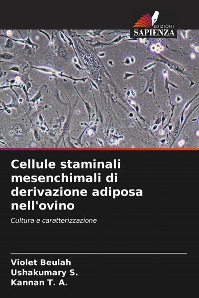 Cellule staminali mesenchimali di derivazione adiposa nell’ovino