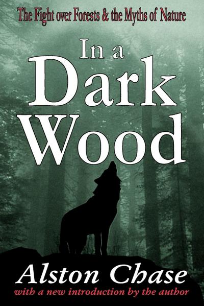 In a Dark Wood