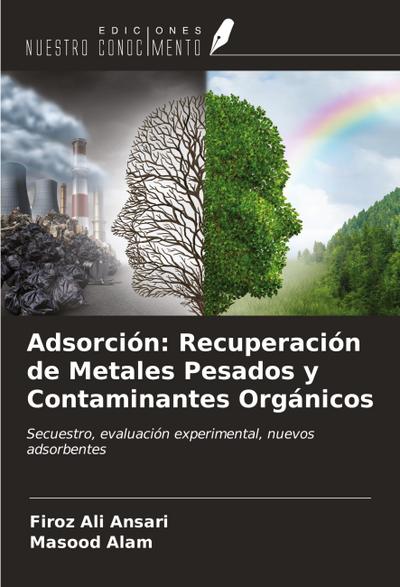 Adsorción: Recuperación de Metales Pesados y Contaminantes Orgánicos
