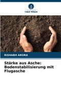 Stärke aus Asche: Bodenstabilisierung mit Flugasche