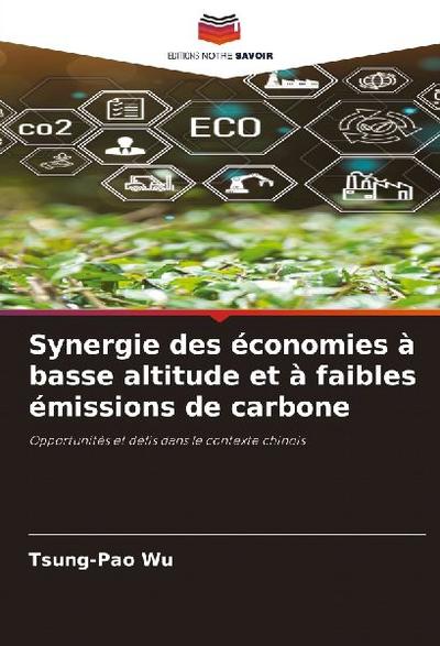Synergie des économies à basse altitude et à faibles émissions de carbone