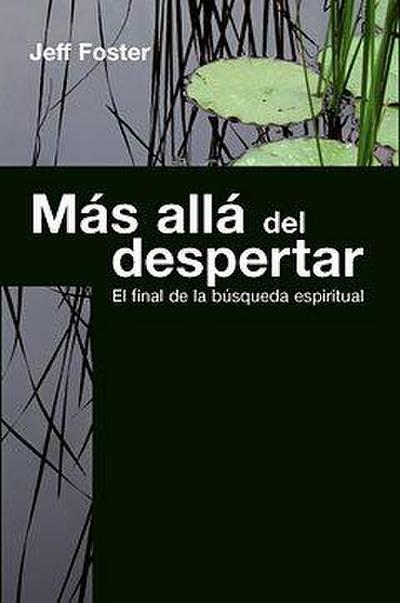 Más Allá del Despertar