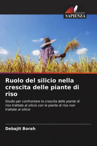 Ruolo del silicio nella crescita delle piante di riso