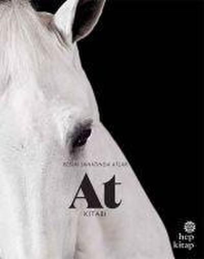 At Kitabi - Resim Sanatinda Atlar