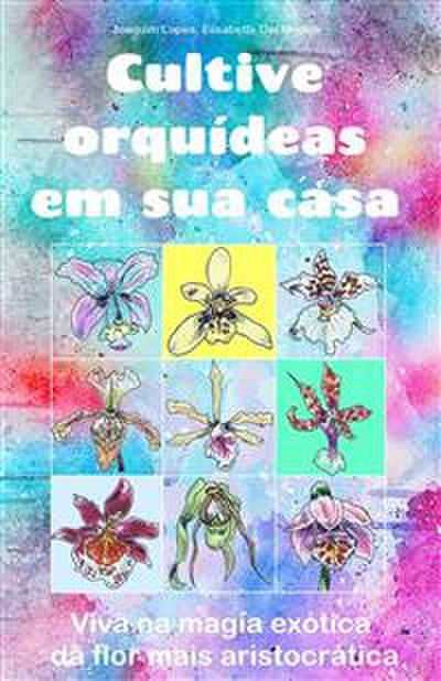 Cultive orquídeas em sua casa.