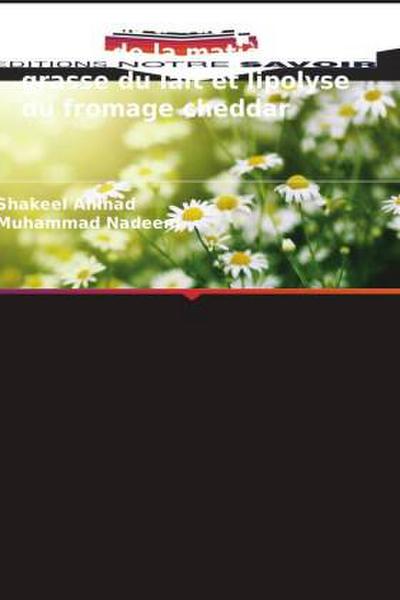 Fractions à bas point de fusion de la matière grasse du lait et lipolyse du fromage cheddar