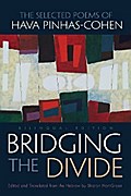 Bridging the Divide