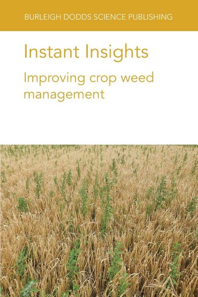 Instant Insights