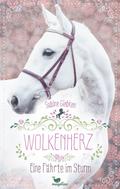 Wolkenherz - Eine Fährte im Sturm