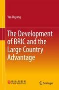 The Development of BRIC and the Large Country Adva