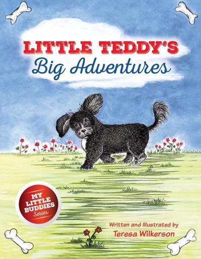 Little Teddy’s Big Adventures