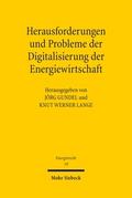 Herausforderungen und Probleme der Digitalisierung der Energiewirtschaft