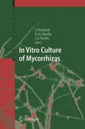In Vitro Culture of Mycorrhizas
