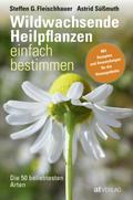 Wildwachsende Heilpflanzen einfach bestimmen - eBo