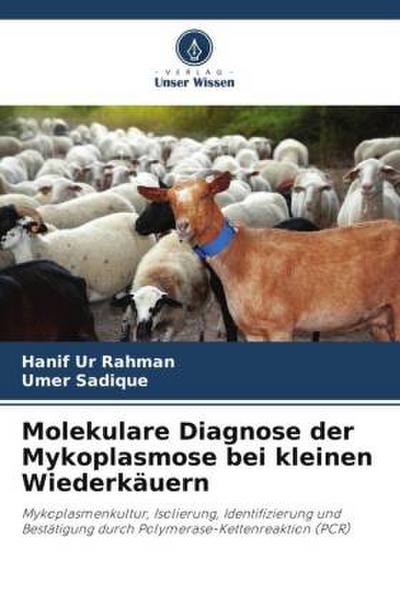 Molekulare Diagnose der Mykoplasmose bei kleinen Wiederkäuern