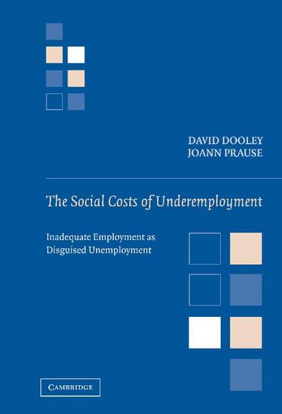 The Social Costs of Underemployment