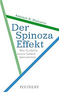 Der Spinoza-Effekt