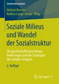 Soziale Milieus und Wandel der Sozialstruktur