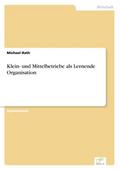 Klein- und Mittelbetriebe als Lernende Organisatio