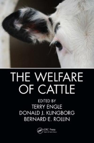 Welfare of Cattle