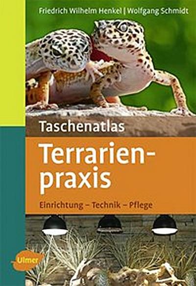 Terrarienpraxis