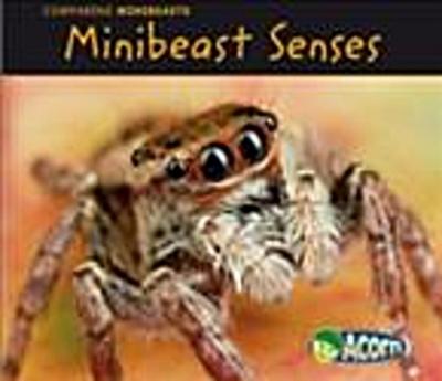 Minibeast Senses