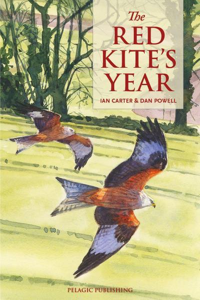 The Red Kite’s Year