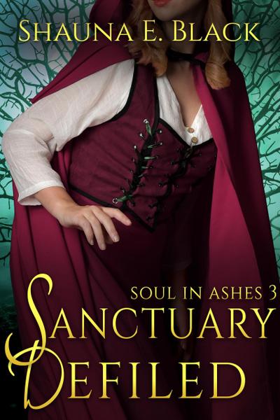 Sanctuary Defiled (Soul in Ashes, #3)