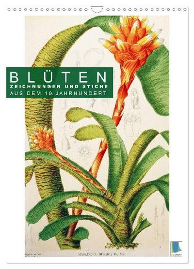 Blüten: Zeichnungen und Stiche aus dem 19. Jahrhundert (Wandkalender 2027 DIN A3 hoch), CALVENDO Monatskalender