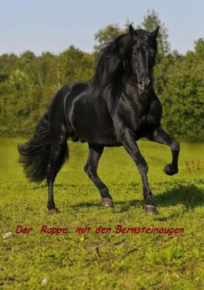 Dancer - Der Rappe mit den Bernsteinaugen