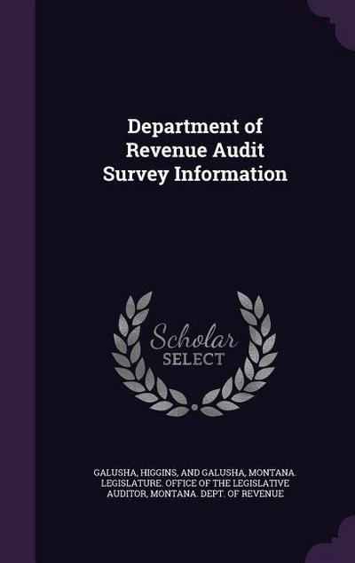 Department of Revenue Audit Survey Information