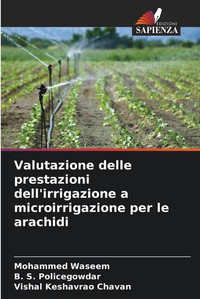 Valutazione delle prestazioni dell’irrigazione a microirrigazione per le arachidi