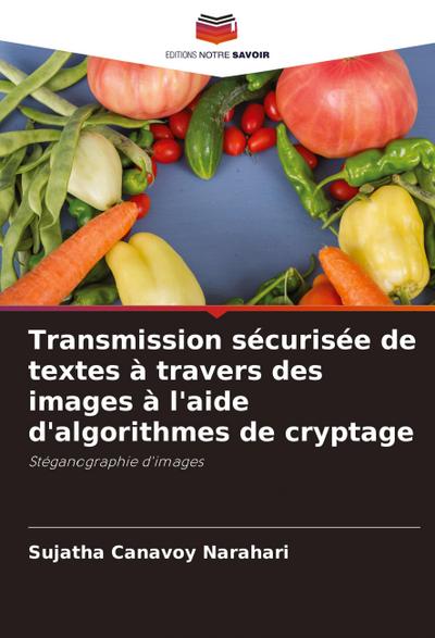 Transmission sécurisée de textes à travers des images à l’aide d’algorithmes de cryptage