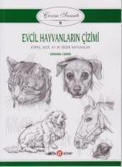 Evcil Hayvanlarin Cizimi - Cizim Sanati 9