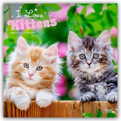 I Love Kittens - Ich liebe Katzenbabys 2026 - 16-Monatskalender