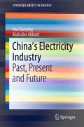 Chinas Electricity Industry