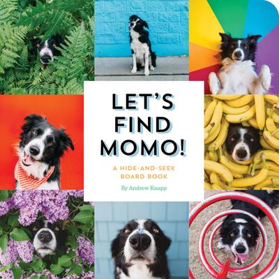 Let’s Find Momo!