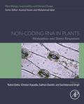 Non-coding RNA in Plants