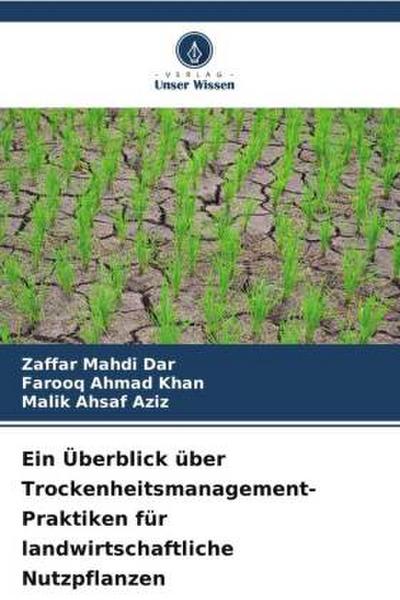 Ein Überblick über Trockenheitsmanagement-Praktiken für landwirtschaftliche Nutzpflanzen