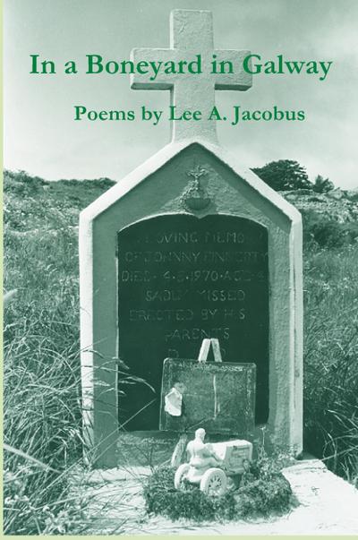 In a Boneyard in Galway