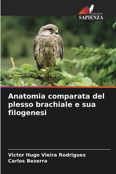 Anatomia comparata del plesso brachiale e sua filogenesi
