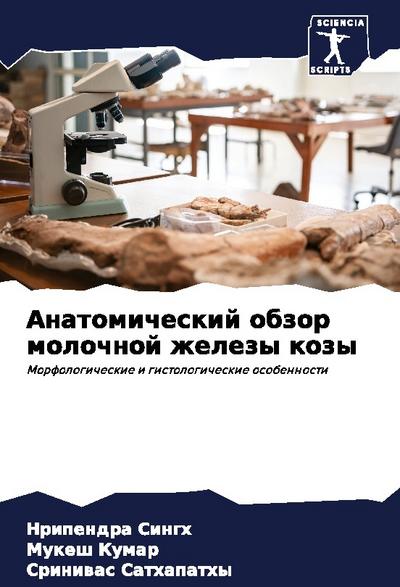 Anatomicheskij obzor molochnoj zhelezy kozy
