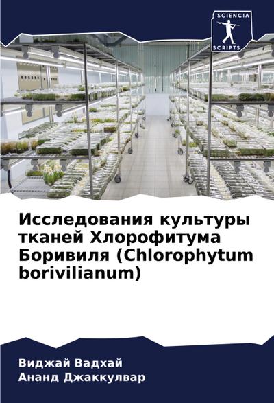 Issledowaniq kul’tury tkanej Hlorofituma Boriwilq (Chlorophytum borivilianum)