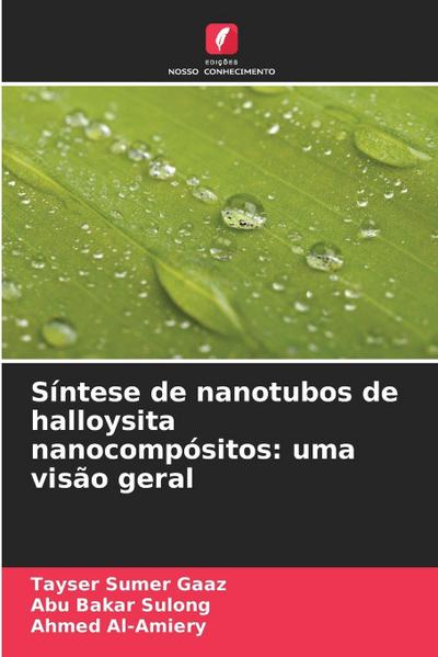 Síntese de nanotubos de halloysita nanocompósitos: uma visão geral