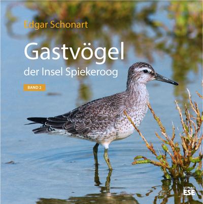 Gastvögel der Insel Spiekeroog 02