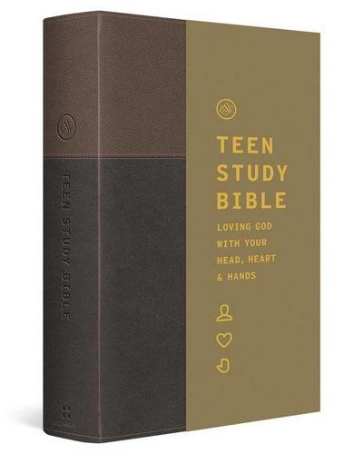 ESV Teen Study Bible (Trutone, Slate/Umber)