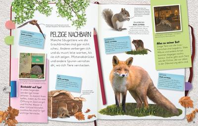 Wilde Natur: Entdecke Tiere und Pflanzen im Wald, am Wasser und in der Stadt für Kinder ab 7 Jahren